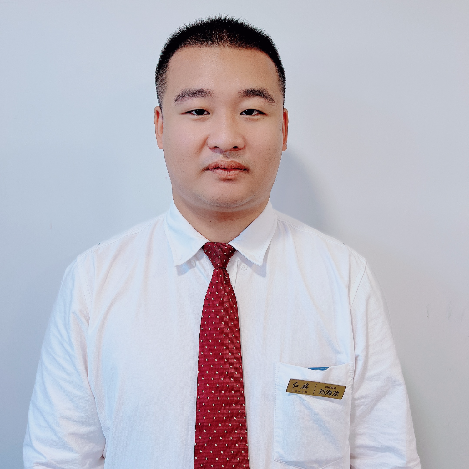 刘海龙