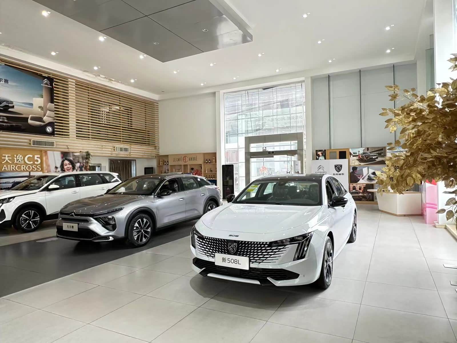 新车展示区