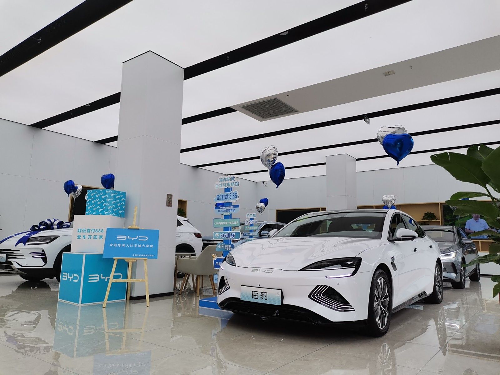 新车展示区