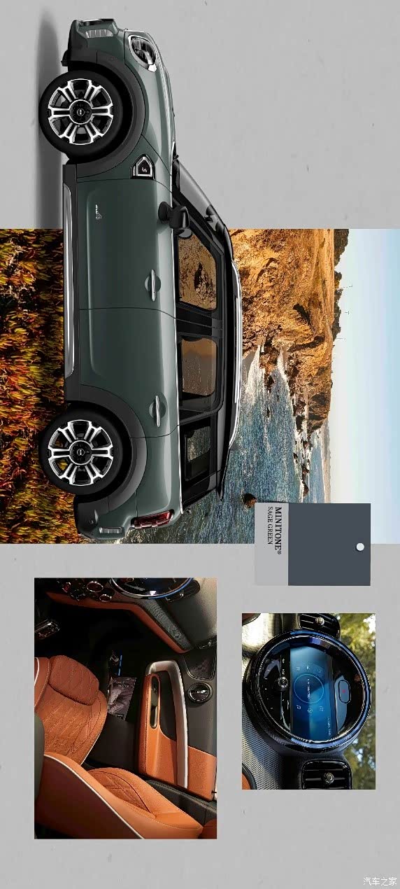 【我爱上了尤加利青_南京德宝新闻资讯欢迎垂询】-之