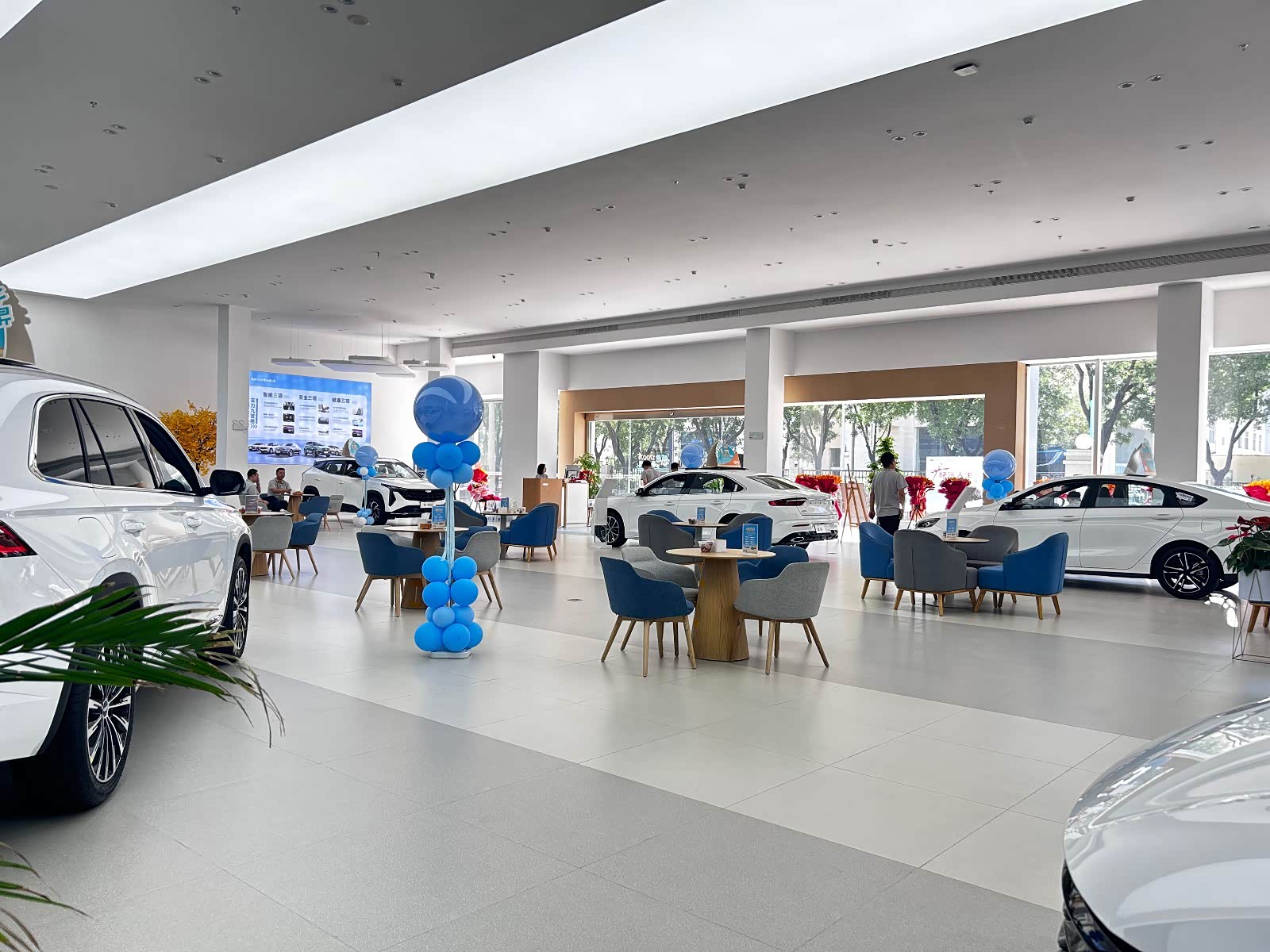 新车展示区