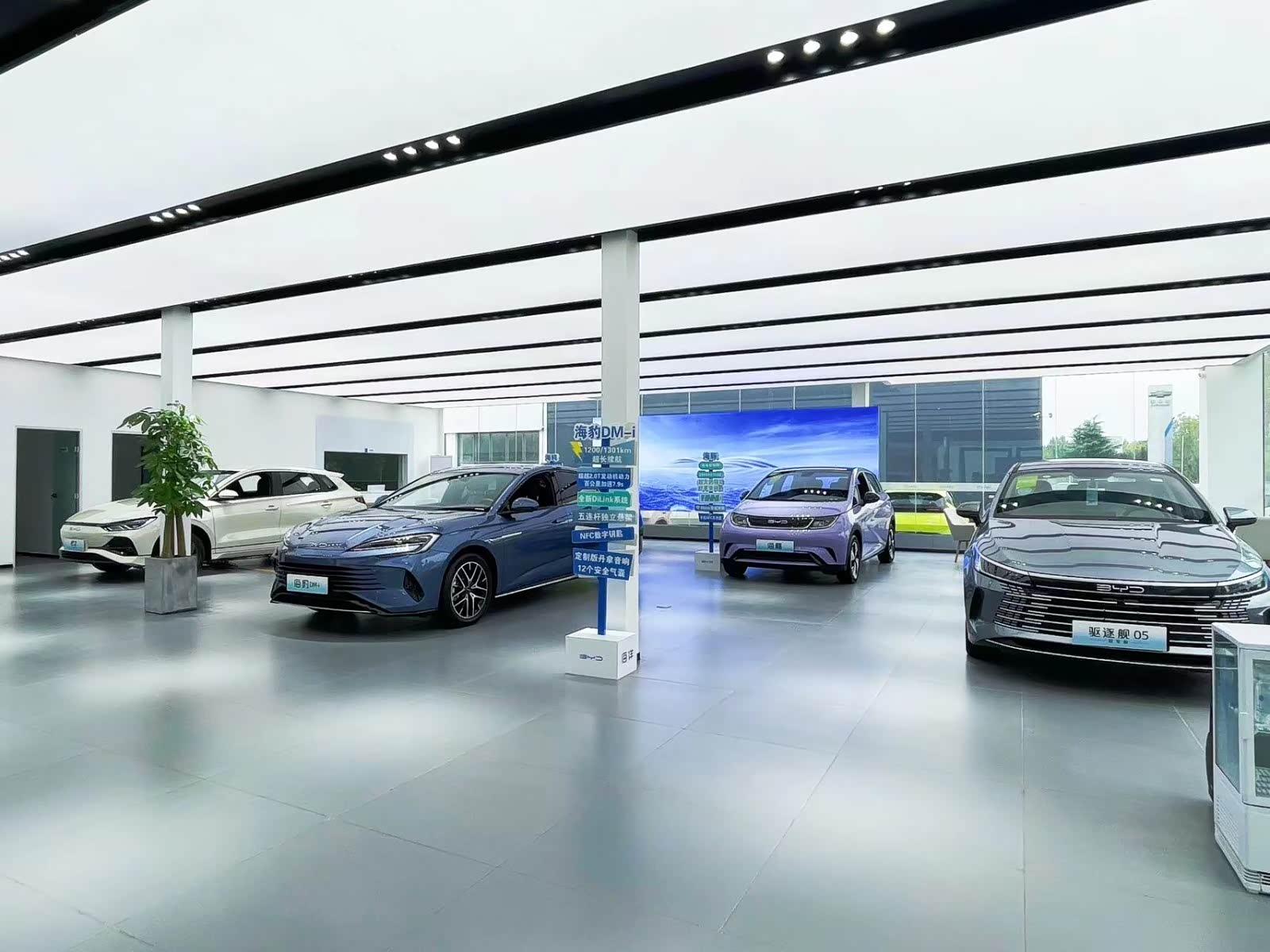 新车展示区