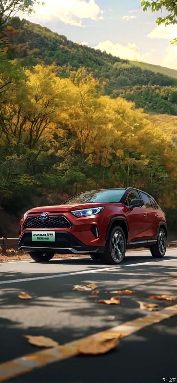 【宠粉狂欢购-rav4荣放至高补贴5万_佛山安佳丰田国际汽车城优惠促销