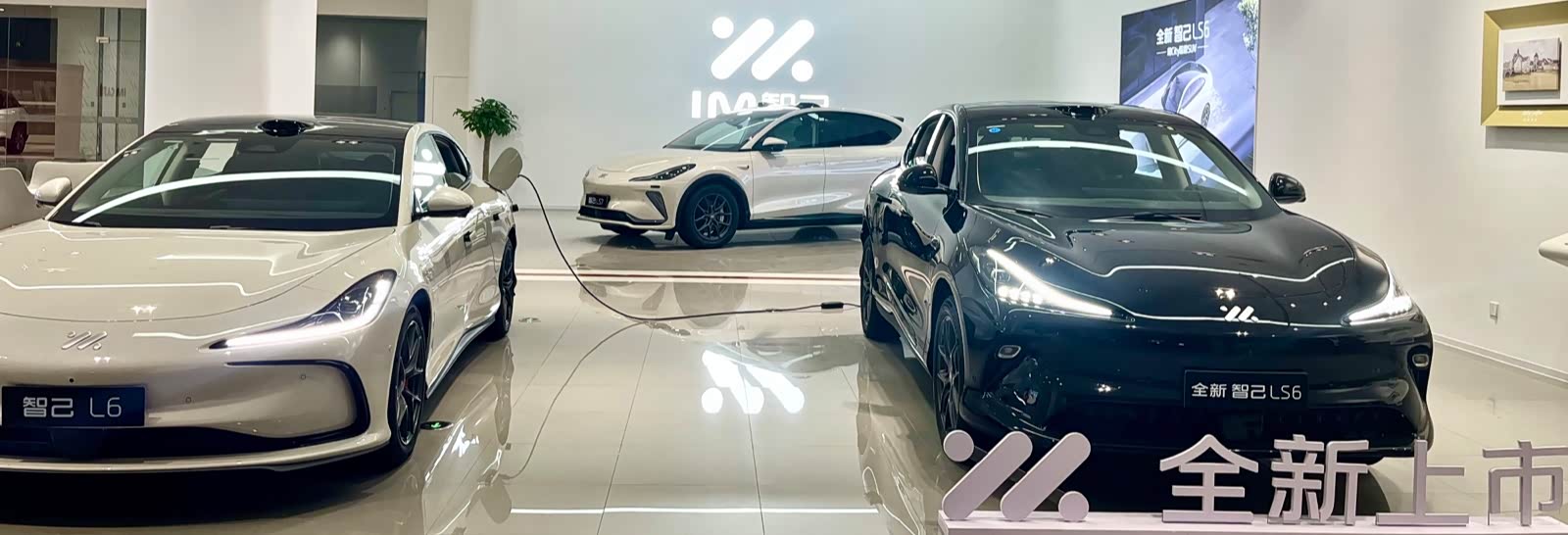 新车展示区