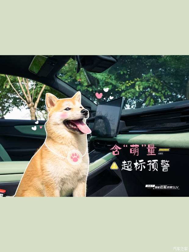 【超萌预警 左滑上车_海南奥创智达新闻资讯欢迎垂询4001854538】