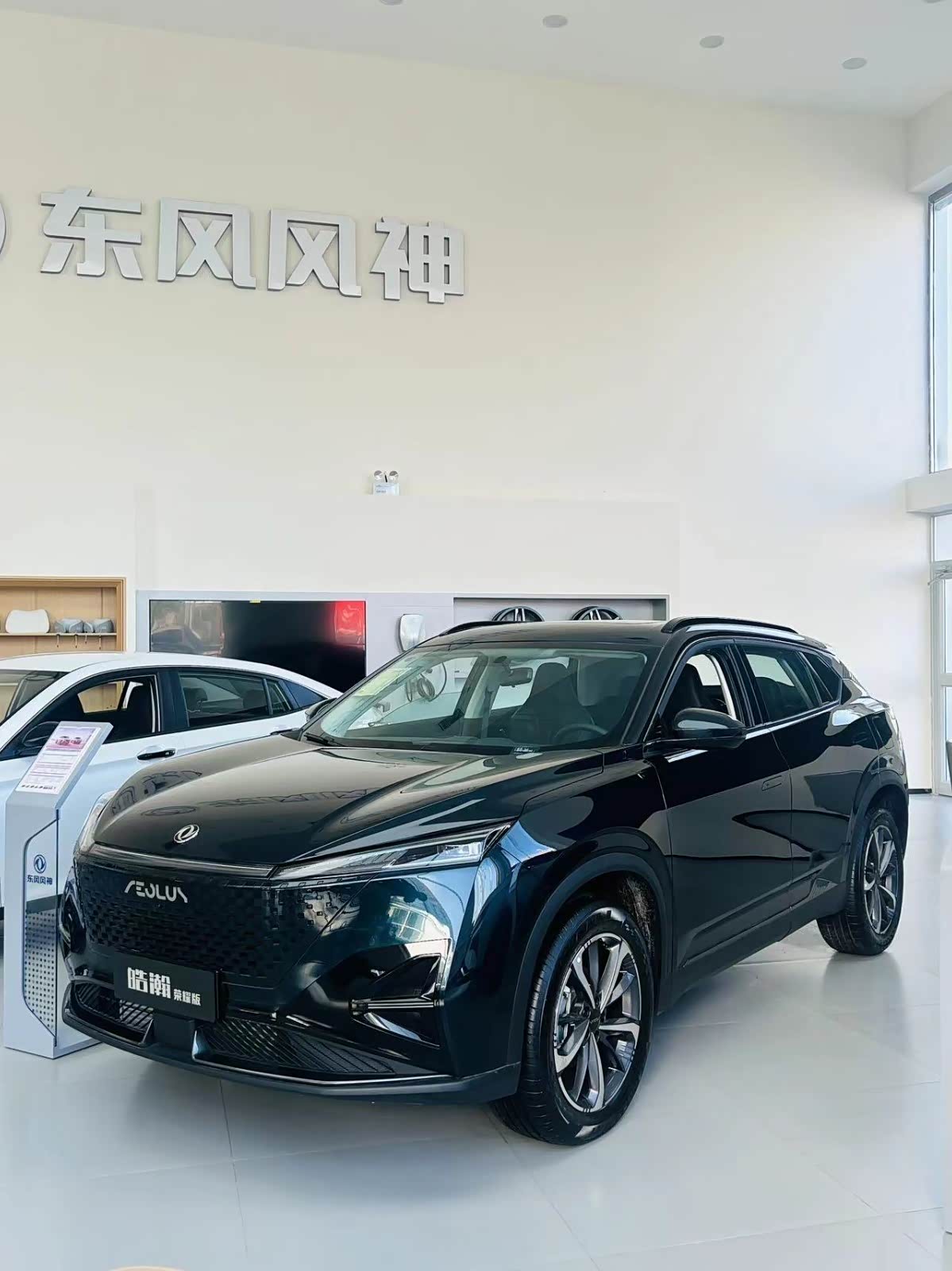 新车展示区