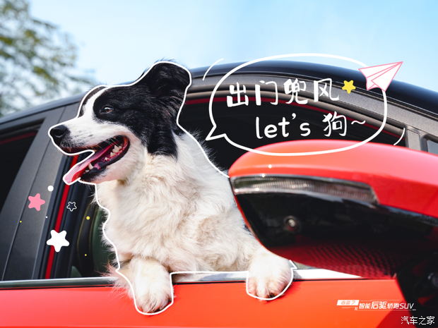 【超萌预警 左滑上车_海南奥创智达新闻资讯欢迎垂询4001854538】