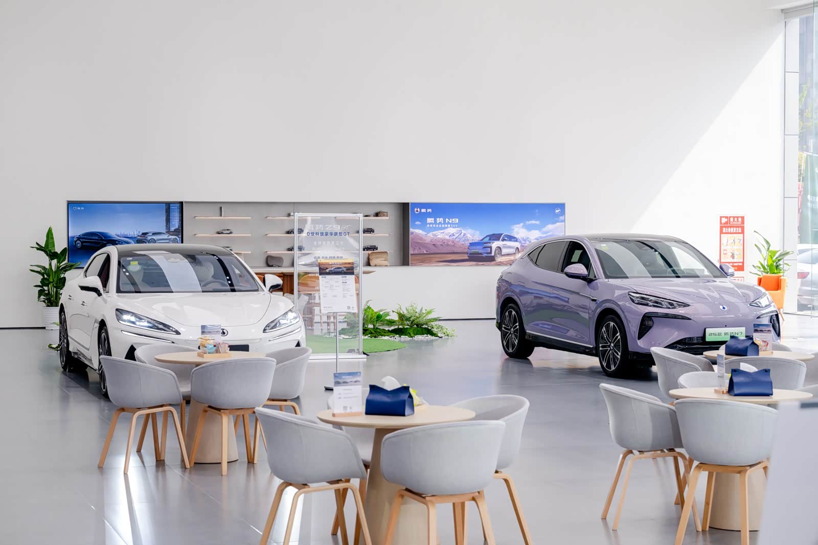 新车展示区
