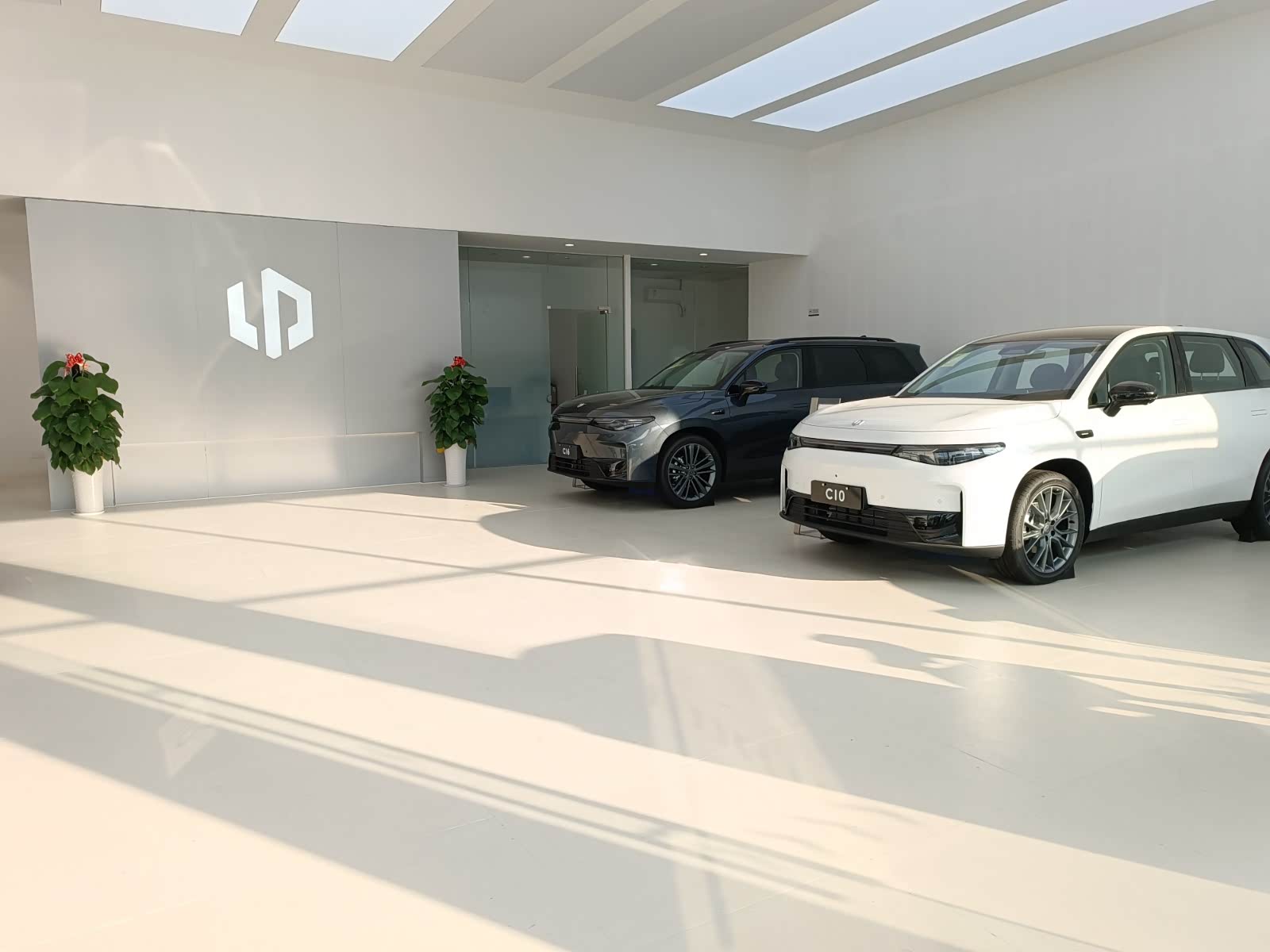 新车展示区