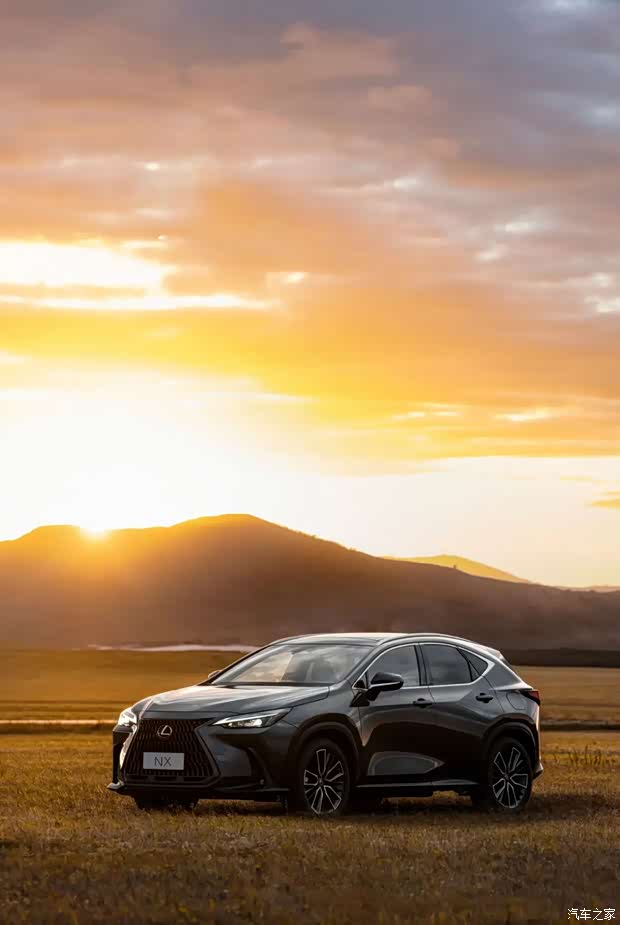 620_925 竖版 竖屏