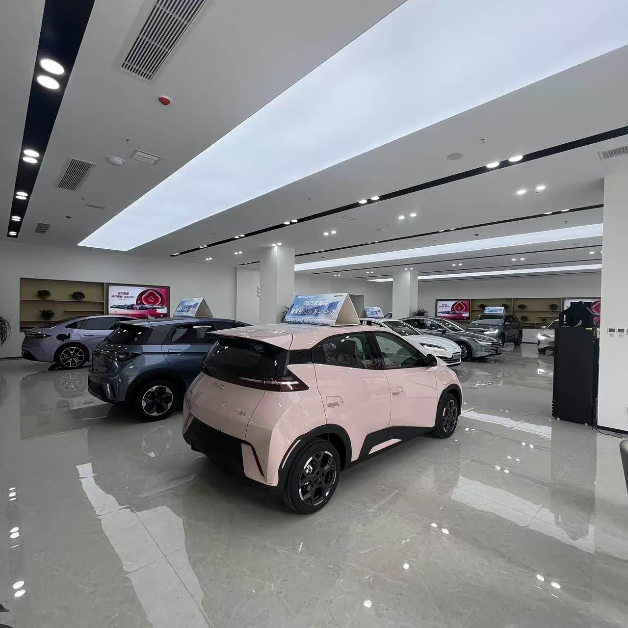 新车展示区
