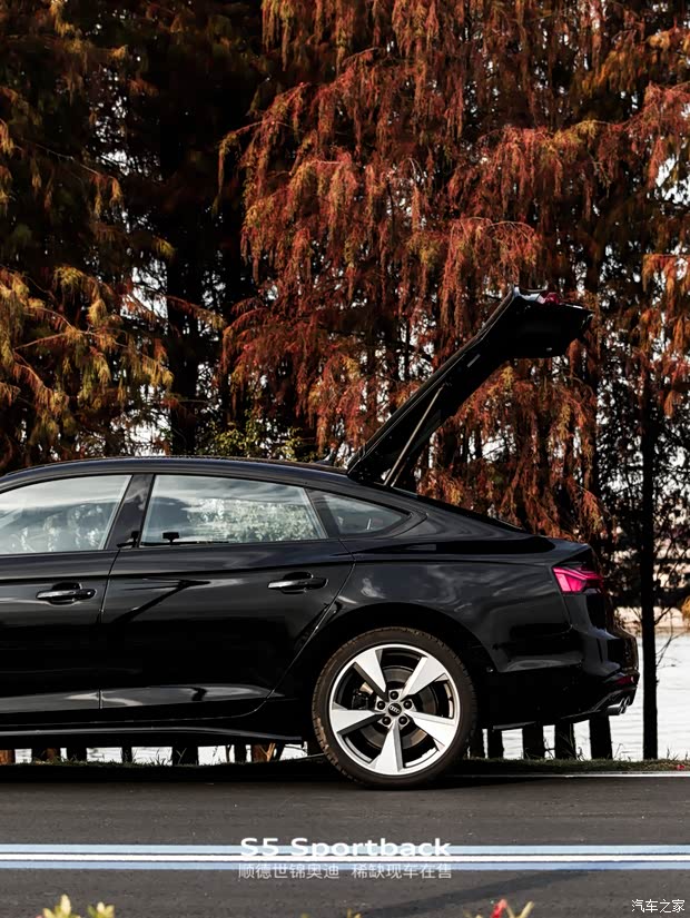 【年轻人绕不开的性能轿跑 s5 sportback_佛山世锦奥迪新闻资讯欢迎