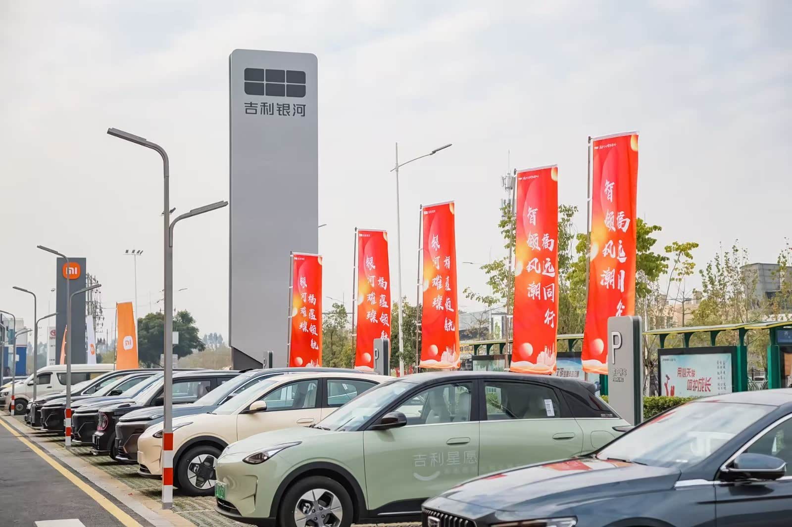 新车展示区
