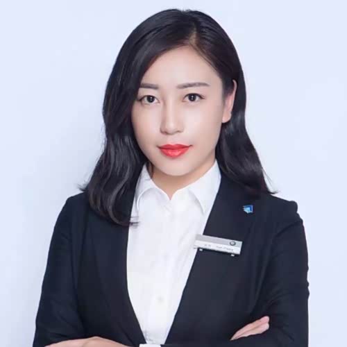 中升集团金牌顾问陈杰