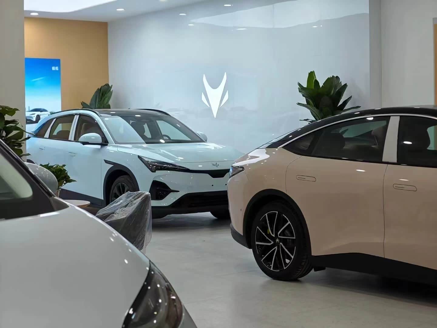 新车展示区