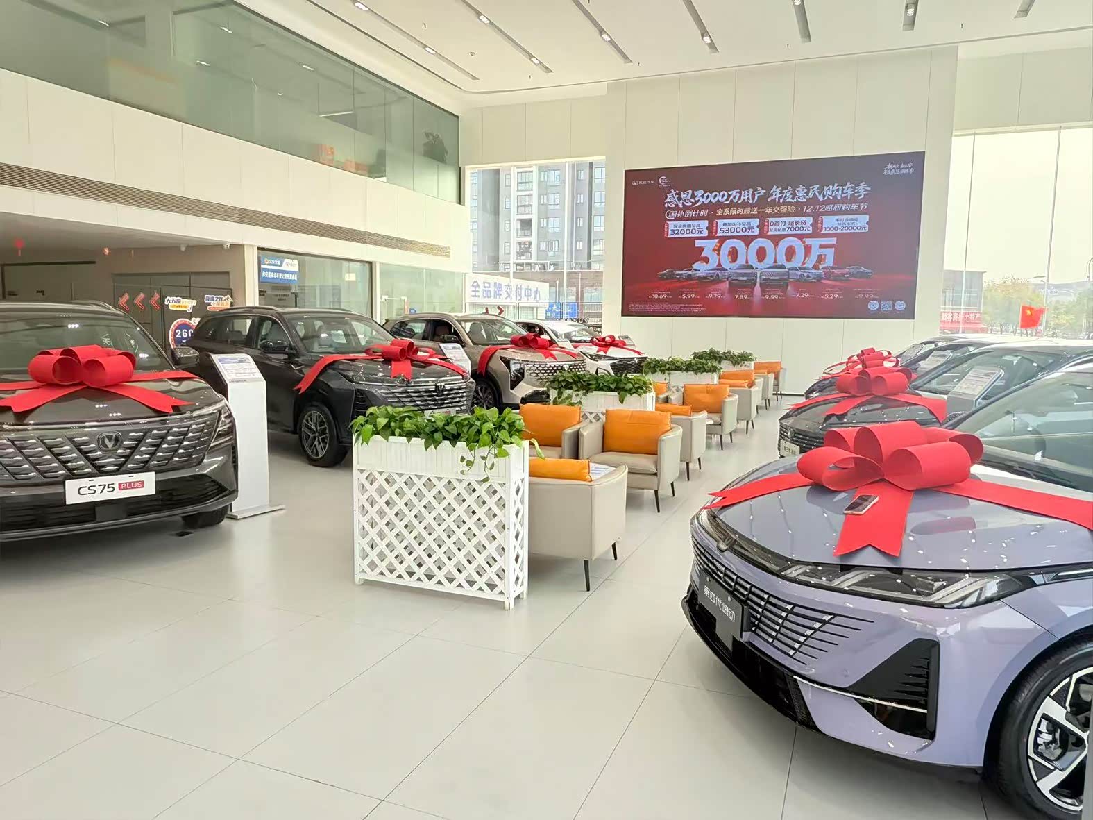 新车展示区