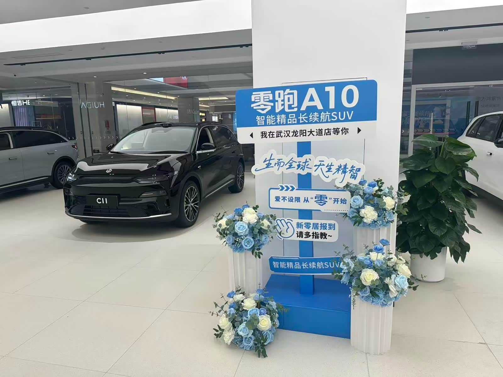 新车展示区