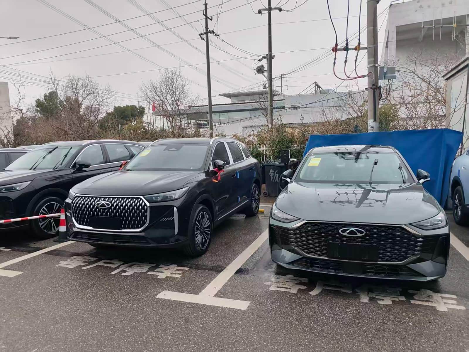 新车展示区
