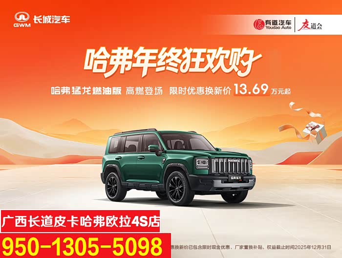 哈弗大狗 PLUS 新能源限时优惠高达4万元