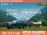 坦克500售价33.5万元起  欢迎垂询