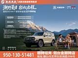 坦克300售价19.98万元起  欢迎垂询