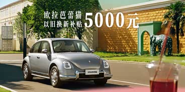 欧拉芭蕾猫优惠1.3万元 欢迎赏鉴