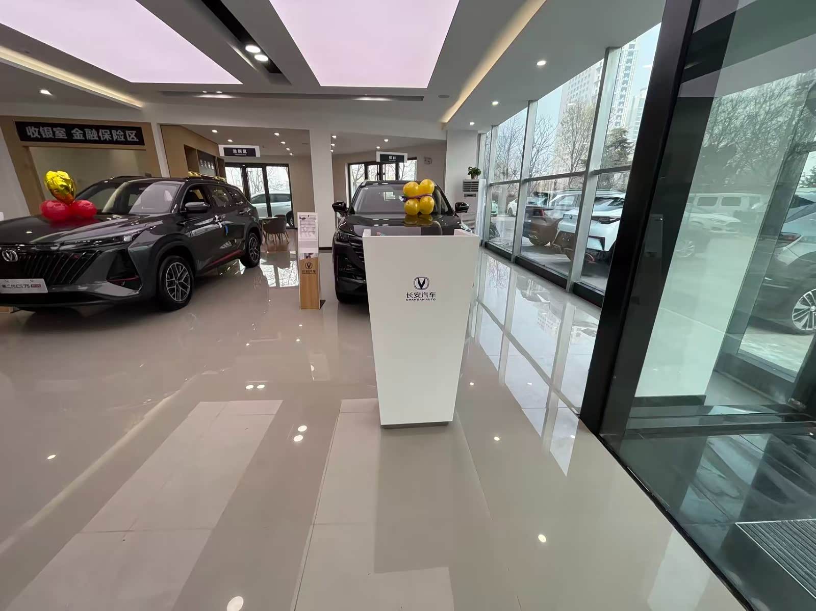 新车展示区