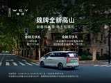 魏牌 高山正价销售28.58万起 可试驾