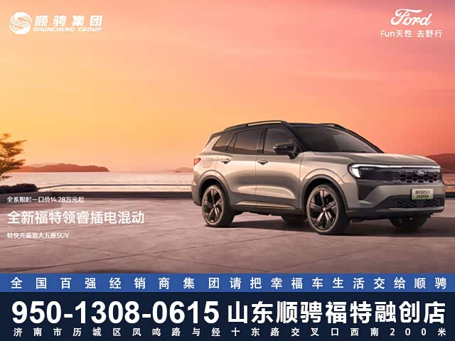 领睿新能源欢迎垂询 让利高达2.6万