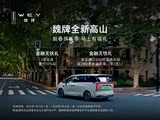 魏牌 高山正价销售28.58万起 欢迎垂询