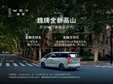 魏牌 高山正价销售28.58万起 欢迎垂询