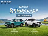 北京越野BJ30旅行家 8万级城市大方盒子