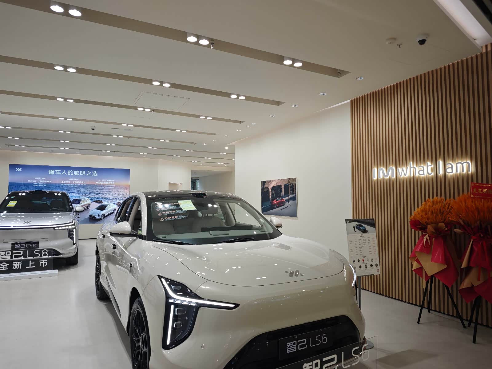 新车展示区
