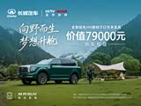 坦克500正价销售中 售价35.5万元起