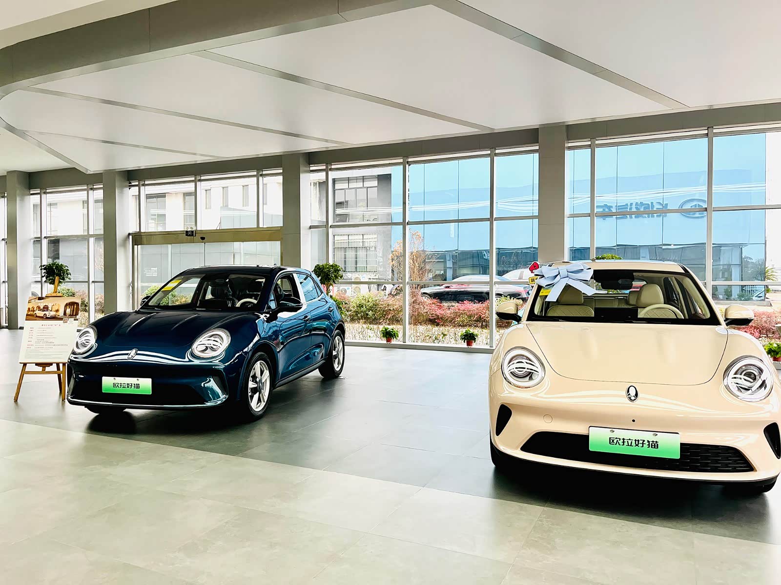 新车展示区