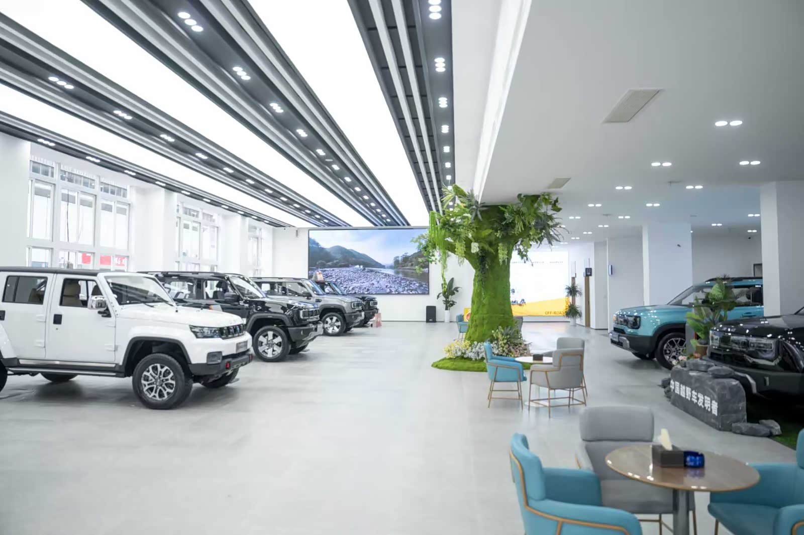 新车展示区