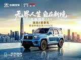 坦克700新能源价格稳定 欢迎垂询