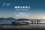 魏牌 高山正价销售中 售价27.28万起