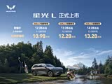 购星光L现10.98万起售 欢迎到店垂询