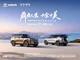 长城H10欢迎莅临赏鉴 可试乘试驾