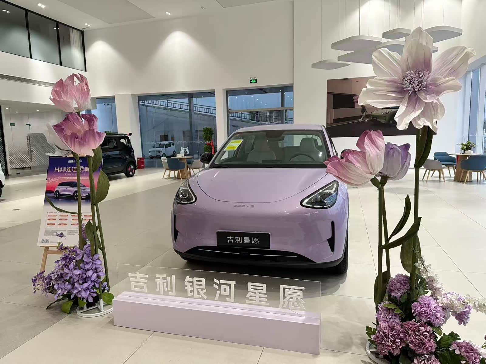 新车展示区