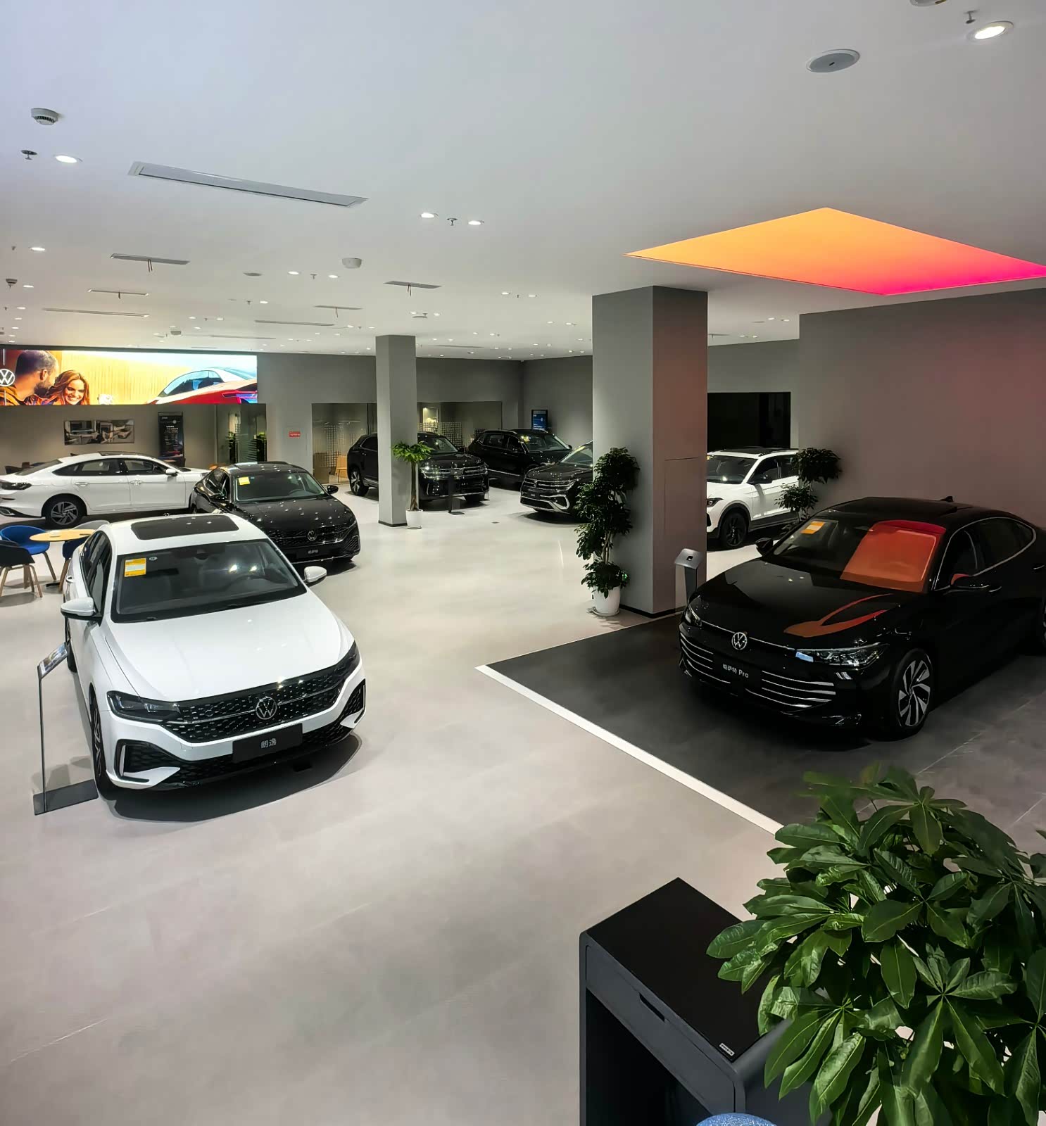 新车展示区