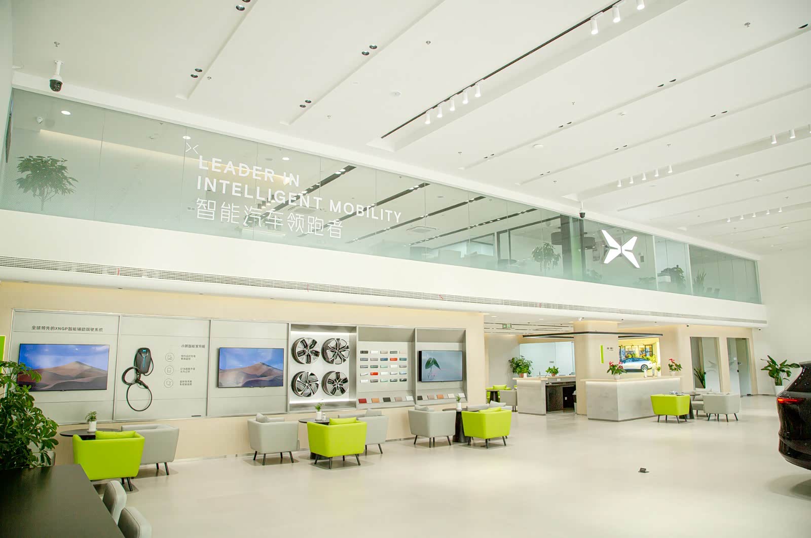 新车展示区