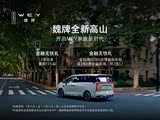 魏牌 高山现28.58万起 欢迎到店垂询