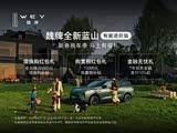 魏牌 蓝山可试乘试驾 购车优惠3.5万