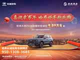 哈弗大狗欢迎垂询 购车优惠3万