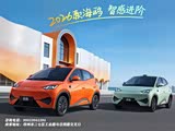 海鸥优惠高达3000元 欢迎莅临赏鉴