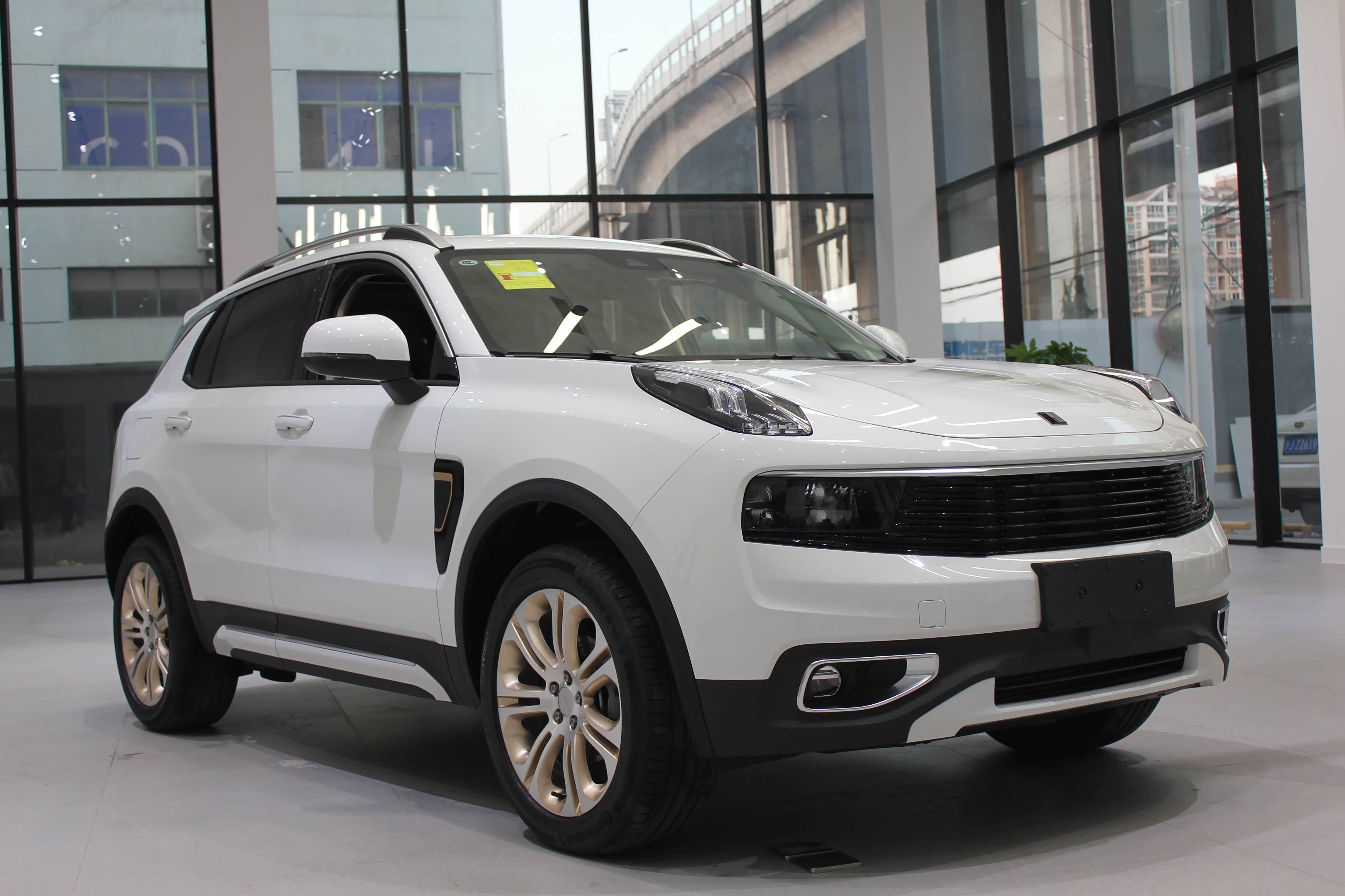 上海中骐领克中心