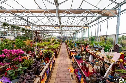 唯美的vivian庄园,带我们走进花的海洋
