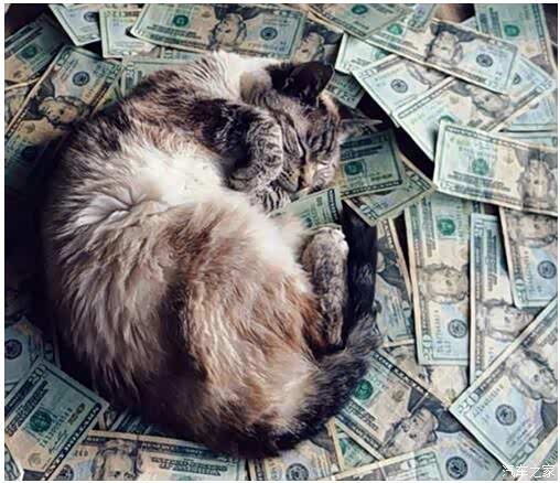 【手动挡究竟有多大乐趣 谁开谁知道_河北缘来